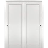 Painting sliding closet doors Painting sliding closet doors