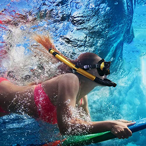 Aritan Snorkeling Snorkel Package Set, Anti-Leak Anti-Fog Coated Glass Diving Panoramic View Clear Tempered Glass Mask, Dry Top Soft Mouthpiece Snorkel Tube, Snorkeling Gear Bag (Golden, Two-Piece)
