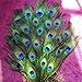 Fashionclub 100pcs Christmas Decor Natural Peacock Tail Eyes Feathers 8