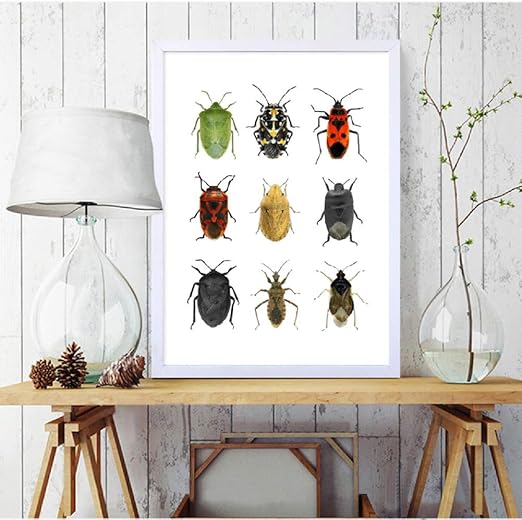 Pintura Decoracion Pared Arte Insectos De La Orden Hemipteros