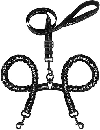 amazon double dog leash