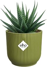 elho Vibes Fold Round Mini 11-100% Recyclable Flower Pot Ø11.1xH10.5 cm Green view 3
