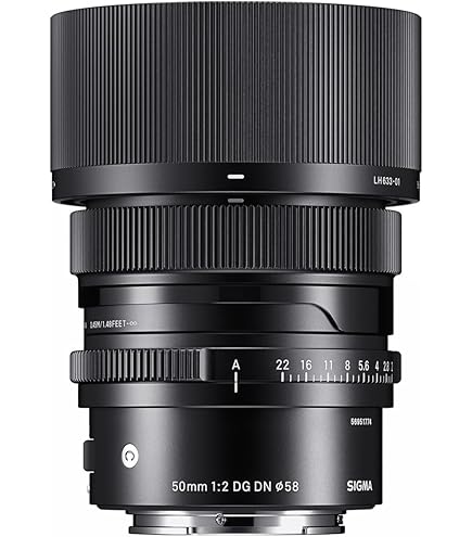 Amazon.com : Sigma 65mm F2.0 DG DN for Sony E Mount