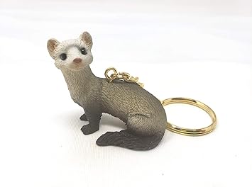 amazon ferret toys