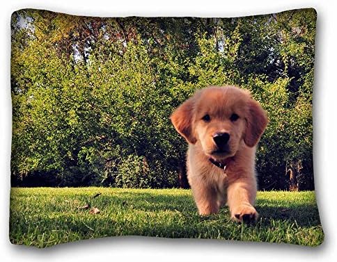 Decorative Standard Pillow Case Animals funny summer s dog puppy grass 20"*26" One Side