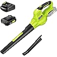 SnapFresh 20V Cordless Leaf Blower, Electric Handheld Leaf Blower with 2.0Ah Battery & Fast Charger, Lightweight 2-Speed for 