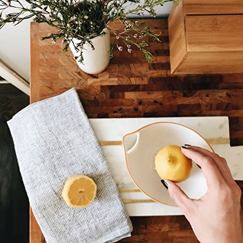 FLOOR | 9 Watercolor Citrus Ceramic Juicer