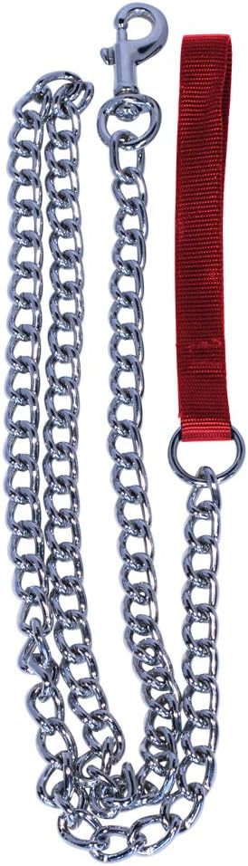 Pet Champion 5ft Chain Leash with Nylon Handle Easy Lead No Pull, Assorted Colors : Pet Supplies