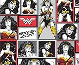 DC Comics Batman V Superman Wonder Woman in Blocks in Multi Fabric By the Yard