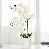 Ohmywor Artificial Orchid Flower Potted, 16.9" White Orchid in Pot Faux Plant with 2 Stems Artificial Phalaenopsis in Plastic Pot for Home Table Centerpiece Wedding Decoration