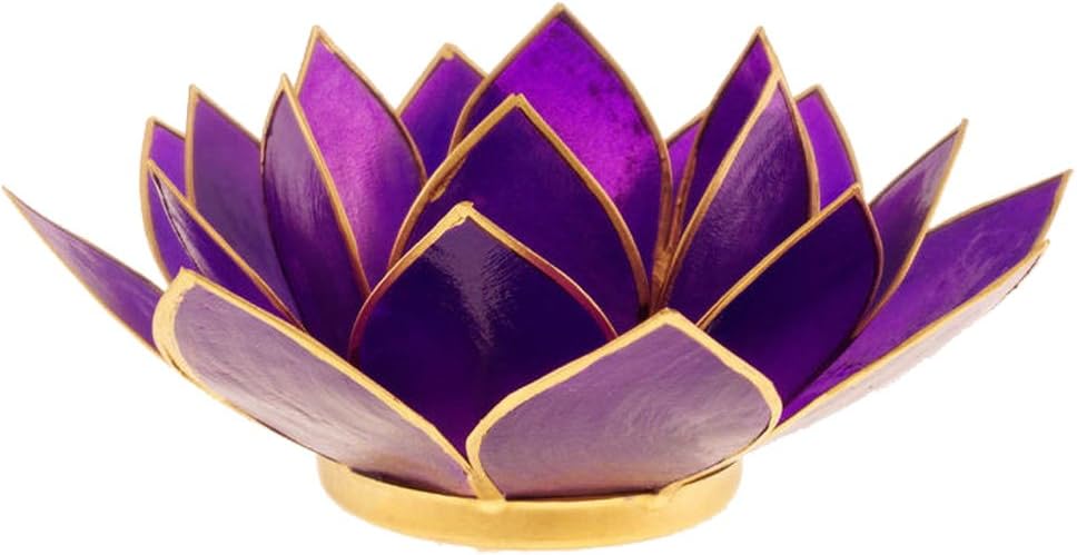 Capiz Tea Light Holder with Gold Trim in Amethyst