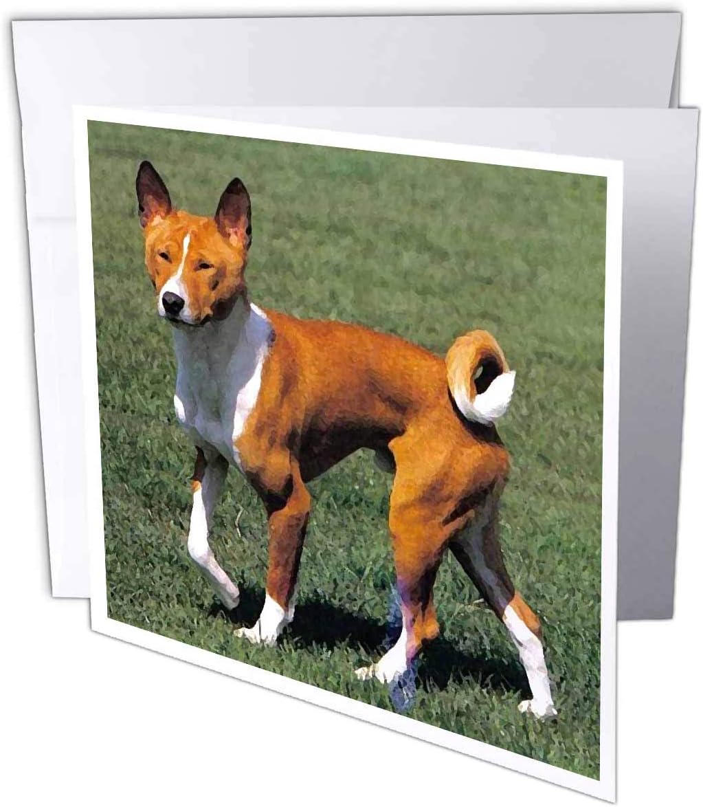 Amazon 犬バセンジー Basenji グリーティングカード Set Of 12 Greeting Cards グリーティングカード 文房具 オフィス用品