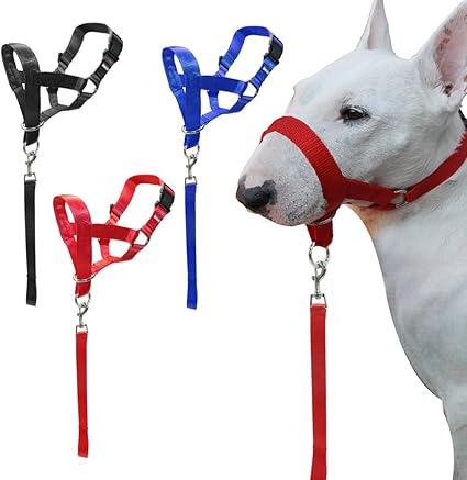 dog training halter
