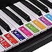 ammoon Piano Keyboard Stickers for 37/49/61/88 Key Keyboards Removable Colorful for Kids Beginners Piano Practice Learning