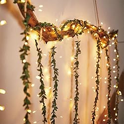 Twinkle Fairy Lights 66ft with Artificial