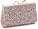 Yuenjoy Womens Rhinestone Clutch Purse Evening Bags with Bow Closure (Champagne)