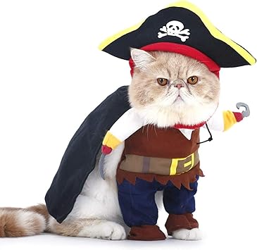 Ptn Costume D Animal Familier Ensemble Deguisement Chat Et Chien Drole Cool Caraibes Pirate Pet Halloween Costume Prop Se Deguiser Vetements De Soiree Amazon Fr Animalerie