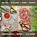 Heavy Duty Kitchen Shears -Take Apart Stainless Steel Blades, Comfort Rubber Grip Handles with Bottle Opener and Nutcracker - Multipurpose Scissors for Chicken, Meat Fish and Herbs - Acodine