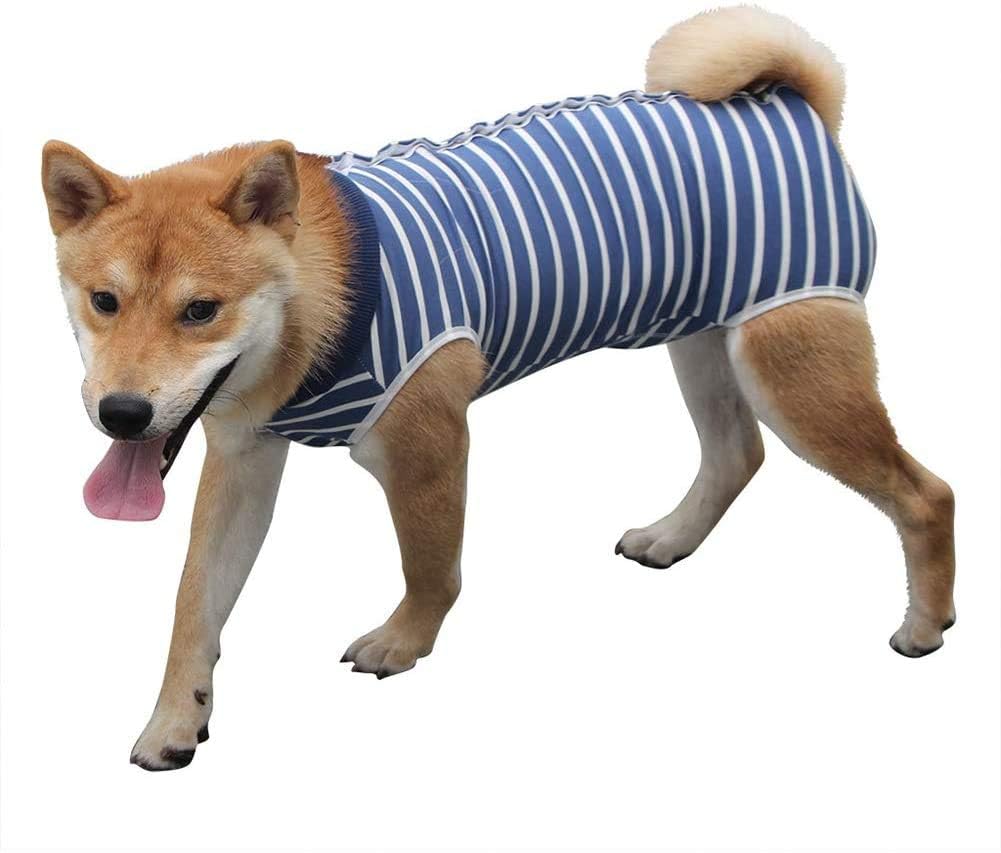 alternative for e collar