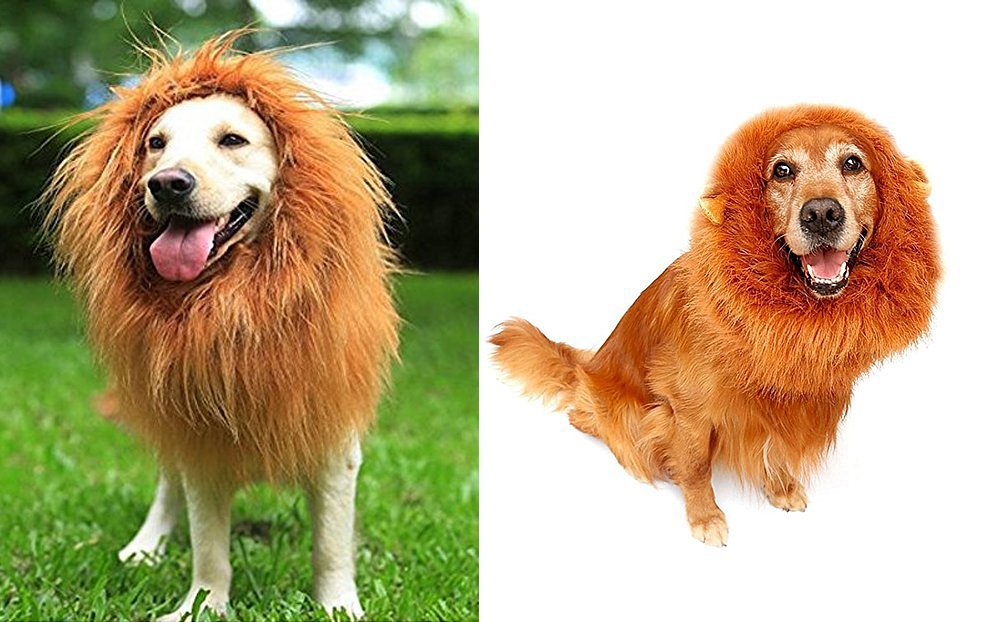 Looching Pcs Lion Mane Prank Costume Big Dog Lion Desertcart