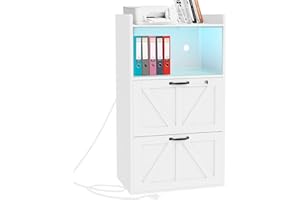 BTDWI 2 Drawer Lateral File Cabinet with Charging Station, Wood Filing Cabinet with Lock & LED Light, Large Storage Printer Stand for Home Office, White