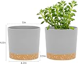 QCQHDU Plant Pot 12.7cm 2 Pack with Drainage Holes & Saucer Light Grey view 2