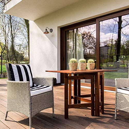 Windex Outdoor Window, Glass, & Patio Cleaner with Hose Attachment, 32