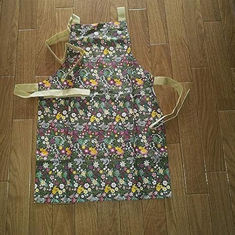 Amazon ポケモンセンター ボタニカル柄 子供用 エプロン ピカチュウ フシギダネ チラーミィ アニメ 萌えグッズ 通販