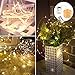 Prefer Green 2 Pack Battery Operated Fairy String Lights 33ft 100 LED 8 Modes Decorative Lights with Remote Control for Outdoor Indoor Bedroom Garden Wedding Christmas Decor (Warm White)