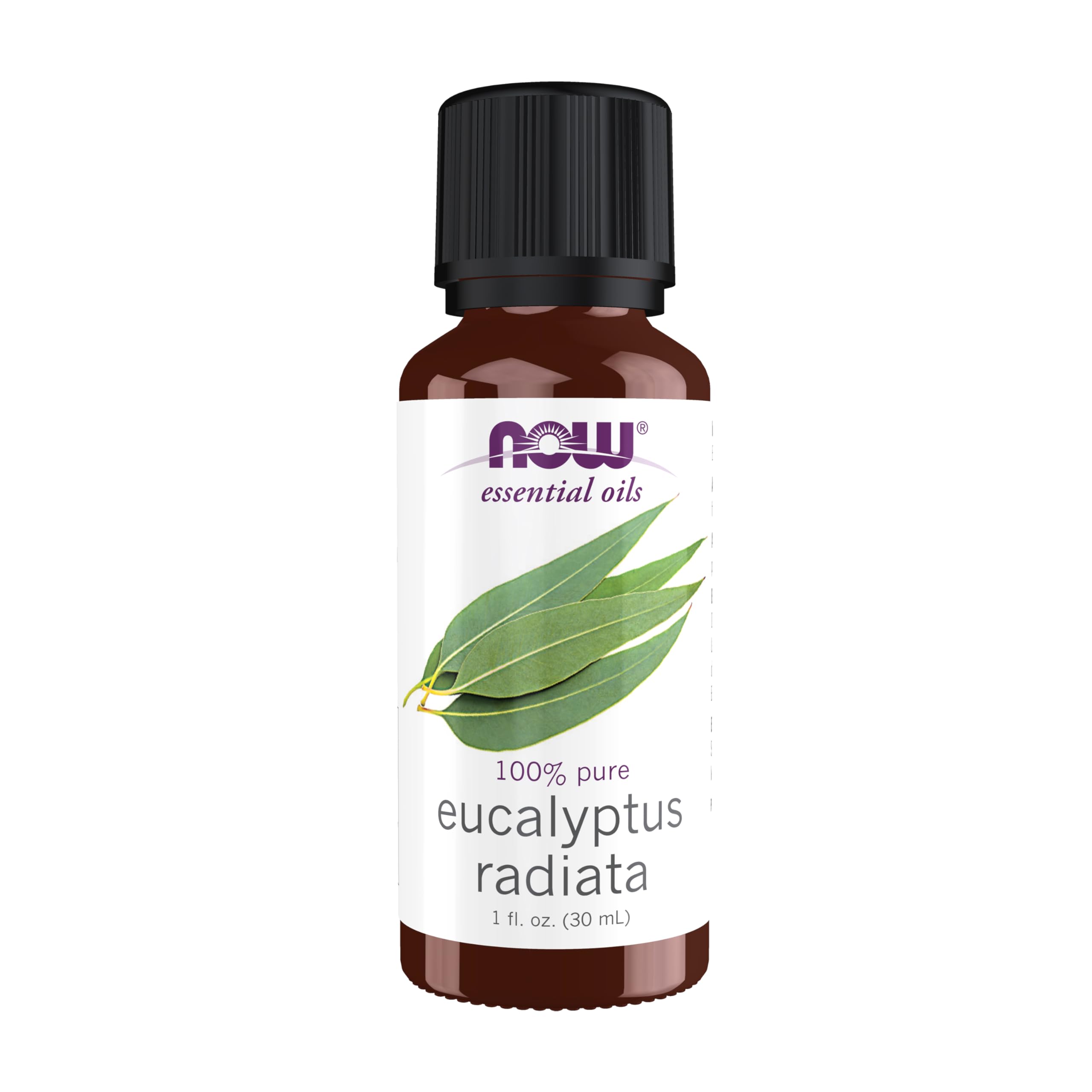 100% Pure Eucalyptus Radiata Essential Oil