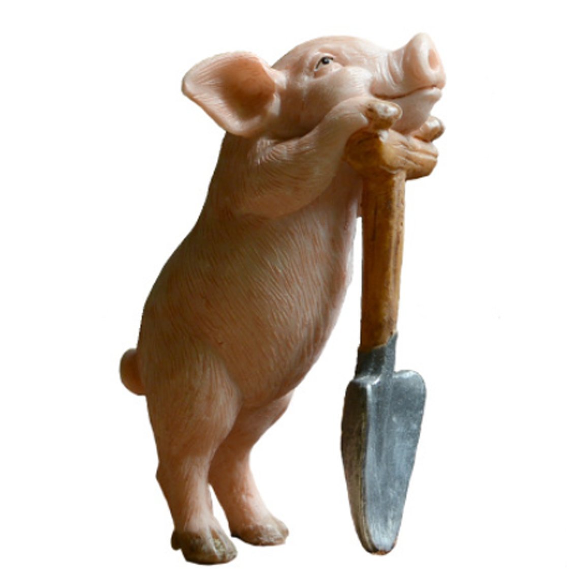 Best miniature pig fairy garden