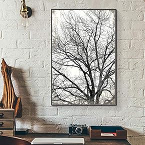 Floating Framed Canvas Wall Art for Living Room, Bedroom Canvas Prints for Home Decoration Ready to Hang - 16x24 inches