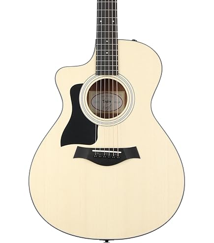 Amazon.com: Taylor 114ce Left-handed Acoustic-electric
