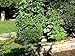 2 ft X 2 ft Victory 8 EZ-GRO Small Square Fabric Raised Bed Garden Green Gardening Raised Bed, AeroFlow Fabric NO Assembly
