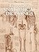 Leonardo's Anatomical Drawings (Dover Art Library)