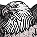 VEGASBEE® American Bald Eagle US National Symbol Jacket Vest Large Embroidered Iron-ON Patch 12