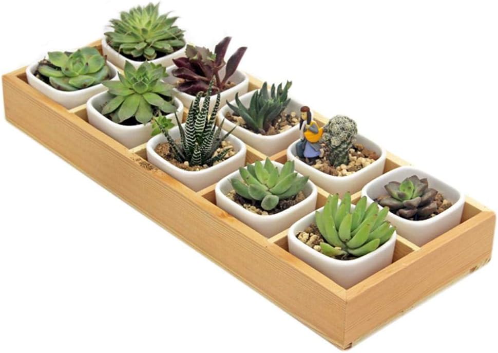Xiangpian183 Wooden Succulents Pot Organizer Container Box, 10 Grid Rectangular Durable Succulent Planter Container Nursery Plant Storage Box for Office, Home, Tea Table, Windowsill