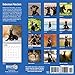 2020 Doberman Pinschers 16 Month 12 x 12 Wall Calendar by Bright Day Calendars (Doberman Pinschers 2019)