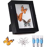 IHEIPYE Insect Display Case Bug Display Case Shadow Box Small Black | Wall Mount, Anti Fade UV Protection Acrylic Top, Eva Foam Pinning Board, Butterfly Specimen Collection,3 Size Pins