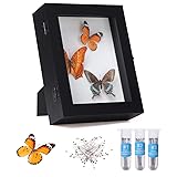 IHEIPYE Insect Display Case Wall Mount Bug Display