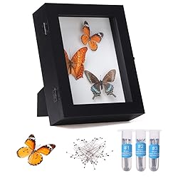 IHEIPYE Insect Display Case Wall Mount Bug Display