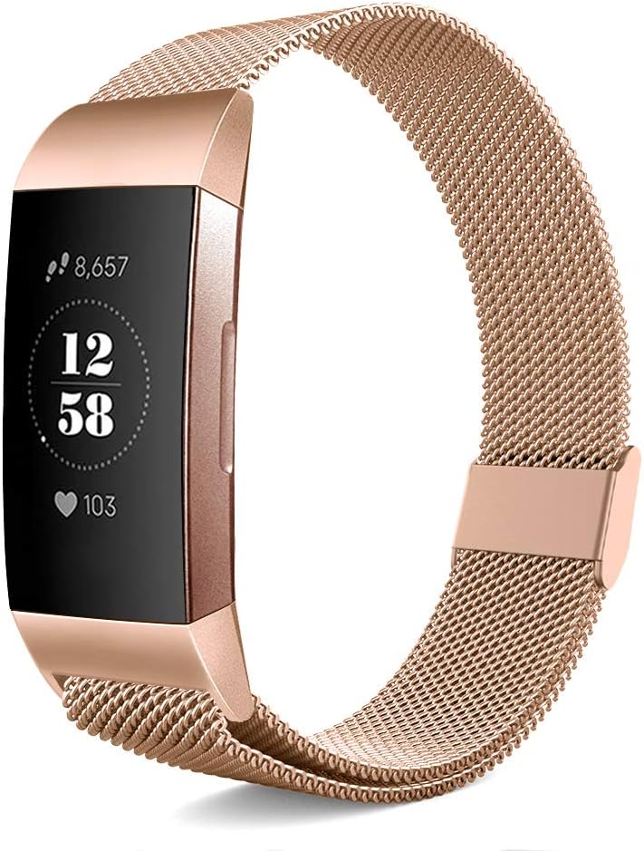 Pedfsy Metal Strap Compatible with Fitbit Charge 3/Charge 3 SE, Mesh Stainless Steel Replacement Sport Bracelet Strap Wristbands Accessories with Magnet Lock for Women Men