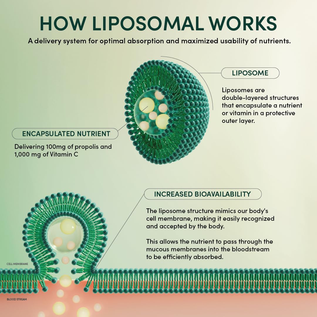 Propolis Liposomal Vitamin C by Beekeeper's Naturals, 1000mg Vitamin C, Propolis & Organic Honey, Supercharged Immune Support & Increased Bioavailibity for Max Absorption, 30 Ct