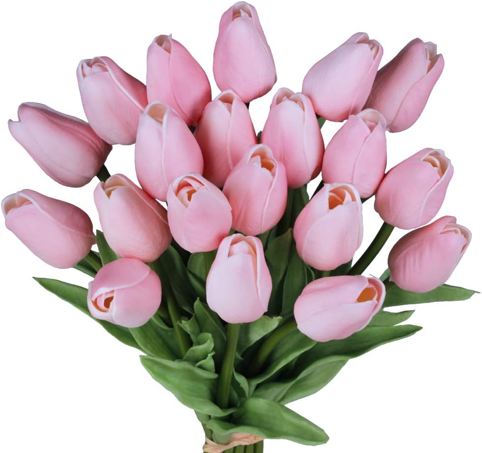 baby pink tulips