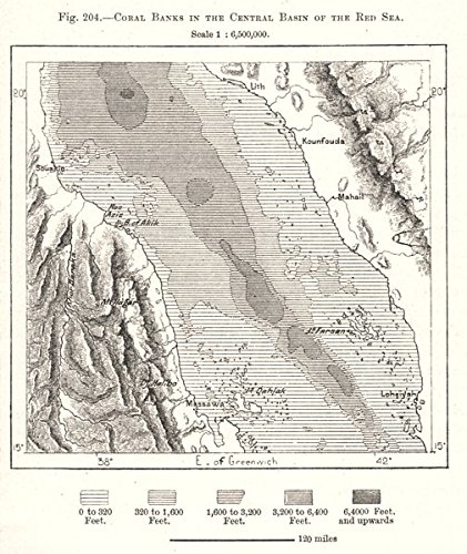Amazoncom Coral Banks In The Central Basin Of The Red Sea