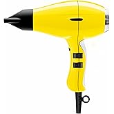 Elchim 3900 Healthy & Light Ionic Professional Dryers, Lightweight with 2 Concentrators Included, Multiple Color Options