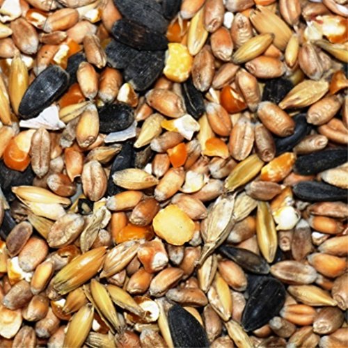 FutterXL 1kg Mecklenburger Landkörnerfutter - Premiumfutter für Hühner & anderes Geflügel - mit Getreide, Muschelgrit…