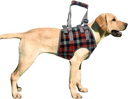 dog front leg support harness