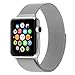 Lumina lumi-98907-l Apple Watch Band - Silver
