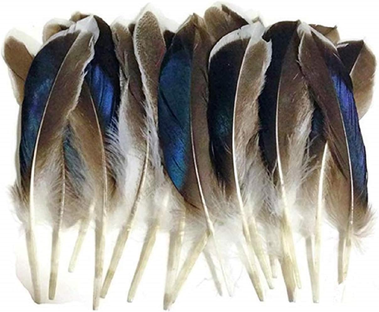 CMJ 10 x Natural MALLARD Duck Blue Wing Feathers Fly Tying Jewellery Hats Millinery UK Seller